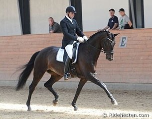 John Hvalsoe Saul on Sirikit at the Danish WCYH selection trial in Middelfart :: Photo © Ridehesten