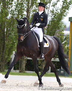 Robin at the 2012 CDIO-J Moorsele :: Photo © Astrid Appels