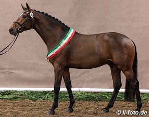 The Laureus x Lord Sinclair x Coriander licensing champion of 2012