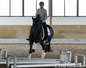 Ingrid does cavaletti work with all her horses. Here she is on Dresden Mann