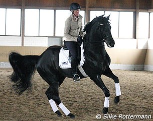 Training the pirouettes with Dresden Mann