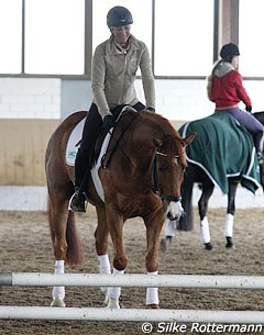 Ingrid deals with a shy Liostro in preparation of the obedience jump. She allows the horse to sniff the jump and look at it