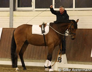 Morten with Real Life showing the crowds the ground work he does to train piaffe in hand