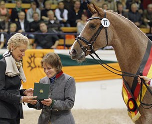 Petra Wilm (president of the Trakehner Breed Society) gives breeder Veronika von Schöning an award for breeding the 2012 Trakehner Licensing Champion Donauruf :: Photo © Stefan Lafrentz