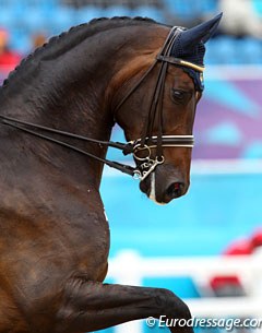 Tinne Vilhelmson's Hanoverian gelding Don Auriello (by Don Davidoff x White Star)