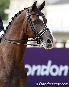 Carl Hester and Roly Luard's Valegro