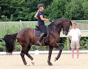 Anna Kaprzak schooling Donnperignon with the help of team trainer Rudolf Zeilinger :: Photo © DRF