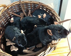 Cute toy at the Cutty Sark gift shop: fluffy ship rats!