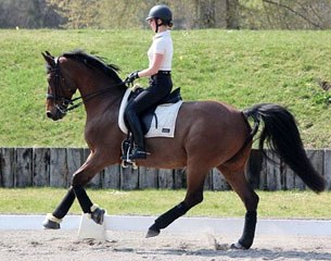 Camille Judet-Cheret on De Dreux