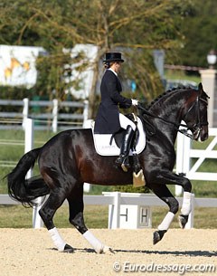 Katja Galmbacher-Weisbrod on Diamonit (by Diamond Hit x Santander)