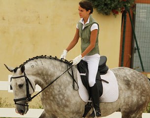 Sarah Warne warming up her 6-year old Lusitano Batialo