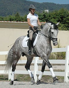 Sarah Warne on her 6-year old Lusitano Batialo