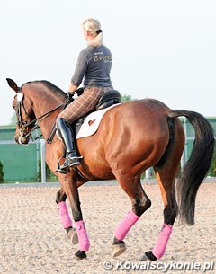 Sylwia Syguda-Heinrich schooling Doktryna. Check out the cute cut-out heart in her saddle pad