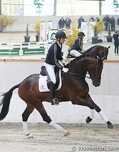 Zatchmo (by Zack x Donnerhall x Pik Bube I) :: Photo © Ridehesten