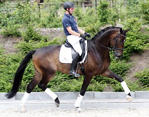 Sopresso (by Serano Gold x Depardieu)
