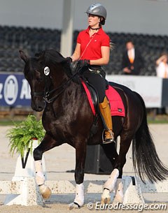 Morgan Barbancon schooling Painted Black in the main arena