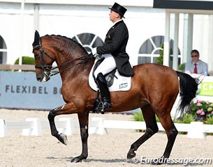 Riding for Ireland, Dane Rawlins on Lady Harris' Sydney