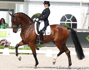 Tinne Vilhelmson on the Westfalian Divertimento (by Di Versace). This horse show amazing promise but was spooky