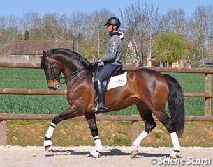 Marc Boblet schooling Fiderboy at home