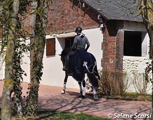 Marc brings Laterna back to the barn