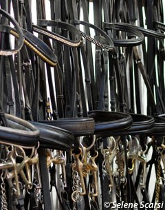 Bridles