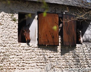 The old stable building