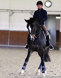 Monica on Tattoo, a 2003 born Westfalian gelding by Tuareg x Ramiro's Son