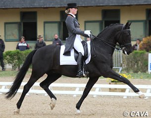 Morgan Barbançon on Painted Black at the 2012 CDIO Saumur :: Photo © Cavahorse.com