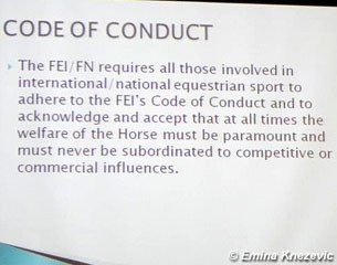 FEI Code of Conduct