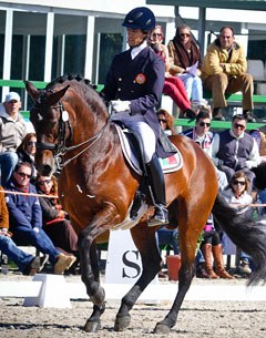 Gonçalo Carvalho and Rubi at the 2012 Sunshine Tour CDI :: Photo © Jumpfotos.com