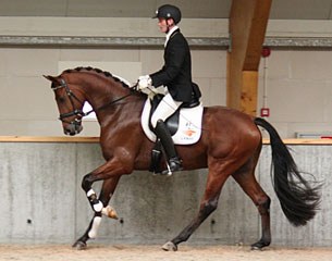 Still in the running: Expression (by Vivaldi x Vincent x Apollonios xx) :: Photo © Aniek Legebeke