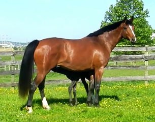 Beatrice VDL at her Shelter Island, NY, home with a Rousseau foal on the ground