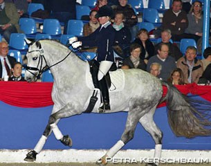 De Martino at a stallion show in Vechta in 2012 :: Photo © Petra Kerschbaum
