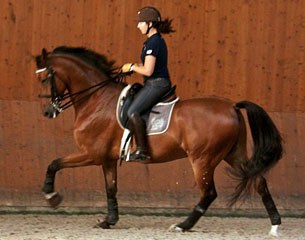 Cathrine Haddad on the 9-year old Danish warmblood gelding Patronus (by Platin x Louis) :: Photo © Dr. Nadine Weisser