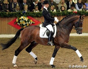 Eva Möller on the KWPN licensing champion Bordeaux (by United) :: Photo © LL-photo.de