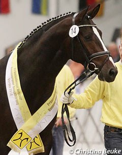 Coal Diamond (by Christ x Don Schufro)