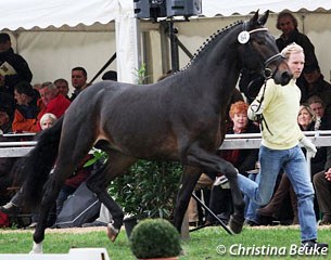 Sbarro (by Scolari x Rubin Royal) :: Photo © Christina Beuke