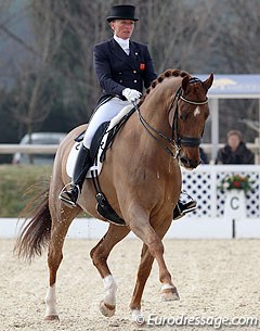 Henriette Andersen on the talented Dutch warmblood Warlocks Charm (by Jazz)