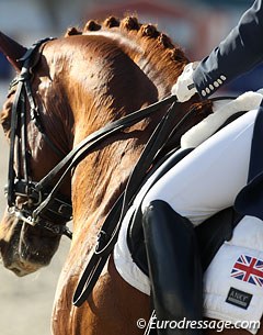 Dressage in the beautiful Vidauban sunlight