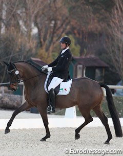 Belgian Jef Coenegrachts on Bernadette Brune's 5-year old Oldenburger Diary Dream (by Duino)