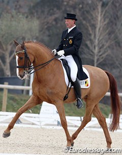 Belgian Ronny Coenraerds on the Belgian warmblood gelding Calypso van het Goorhof (by Camus)