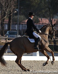 Magic hour sunlight at the 2012 CDI Vidauban :: Photo © Astrid Appels