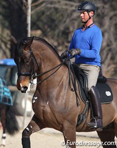 Carl Hester schooling Nip Tuck at the 2012 CDI Vidauban