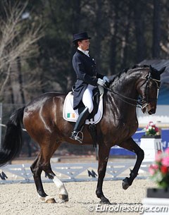 Italy based Irish Grand Prix rider Anna Merveldt on Coryolano