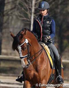 French Young rider Caroline Osmont schooling the Belgian warmblood Don Quichot