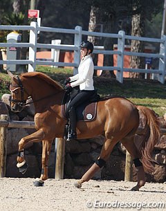 French Under 25 rider Julie Pellerin on her Grand Prix level trained Trakehner Hinnerk TSF. Pellerin recently switched trainers and is now working with Ton de Ridder