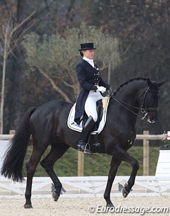 Finnish Terhi Stegars on the Trakehner licensed stallion Axis TSF