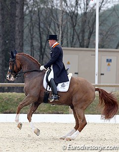 Alex van Silfhout on the Belgian warmblood Locke (by Gottwald)