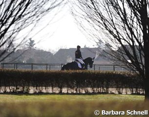 Schooling the young horses outdoors at Wietelshof near Warendorf