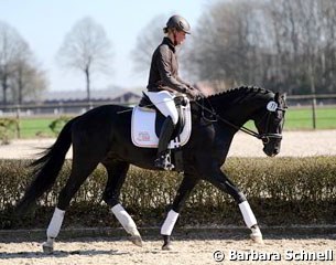 Ariane Dierkes riding The King in a relaxed and more open frame